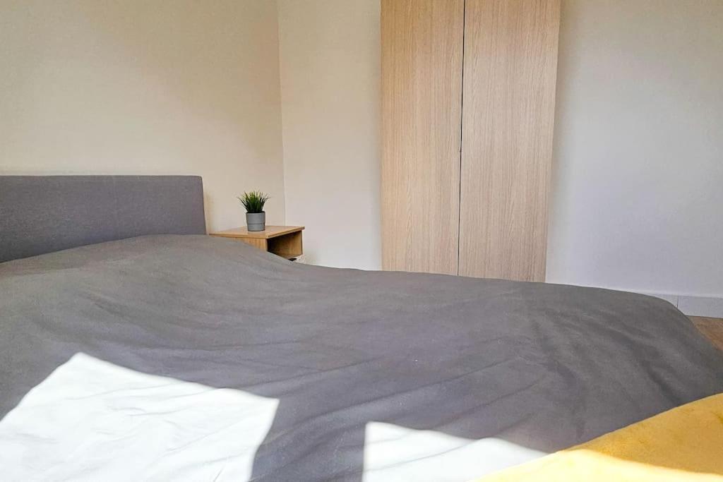 Appartamento C'Est Chez Maurice! 4 Ch Wifi Balcon Parking Free Saint-Etienne  Esterno foto